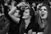 FANS (2) (14)