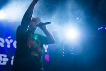 stryc nory a pain_01