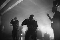 14_Casisdead