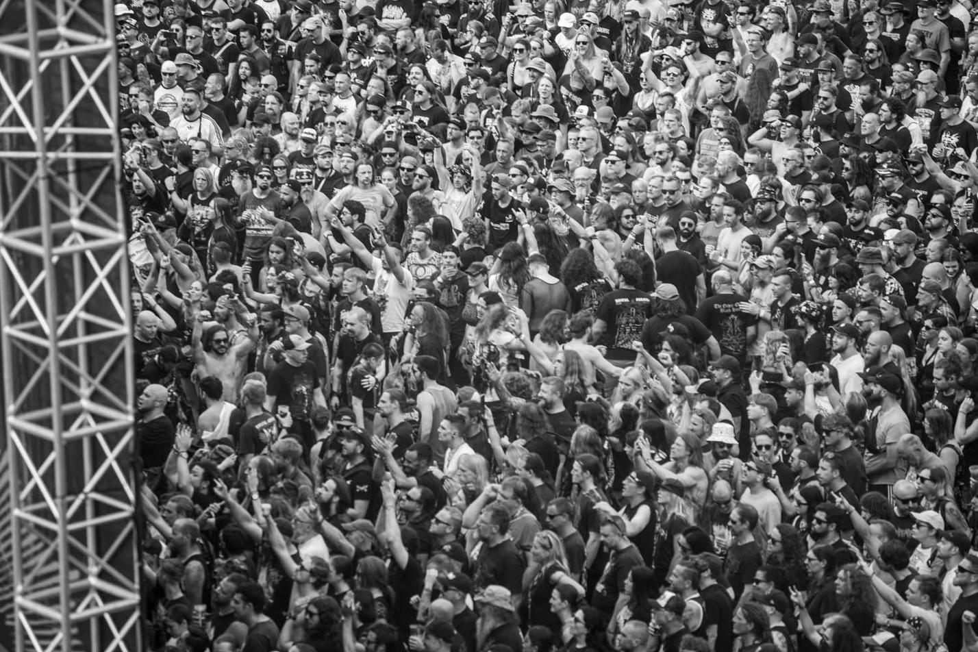 fans (2) (21)