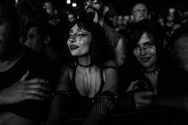 Fans (27)