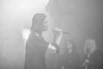 IVY Z  (3)