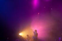 Mark Lanegan Band