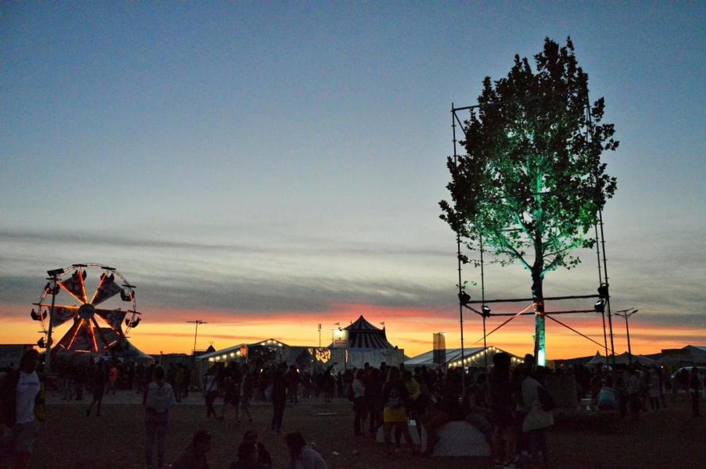 Grape Festival