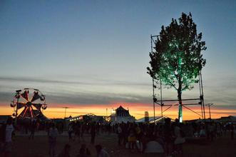 Grape Festival