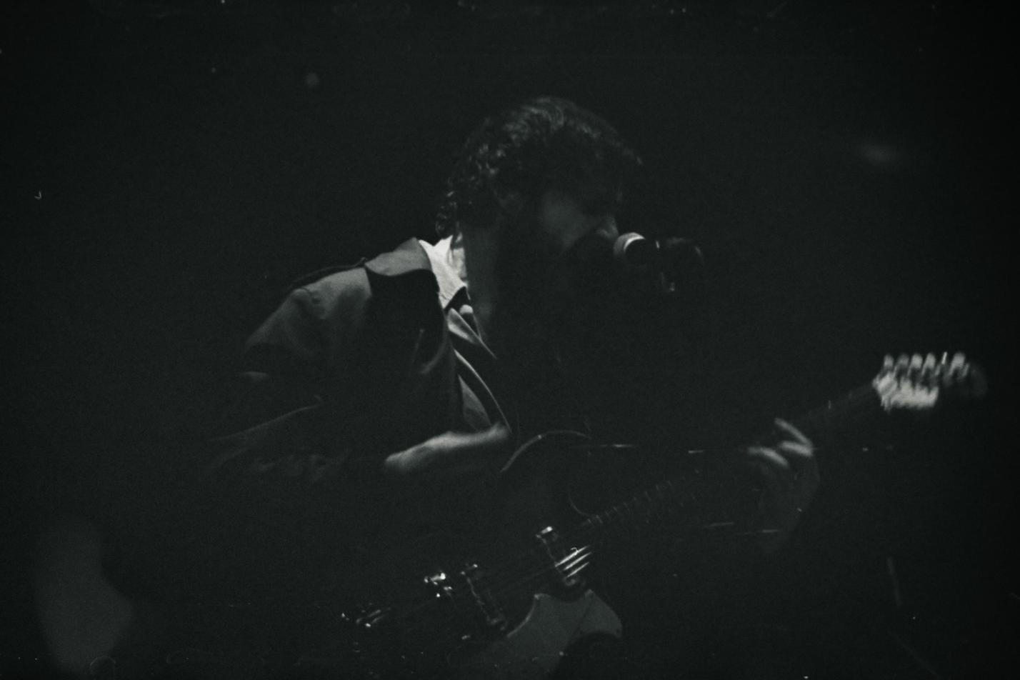 12_Please The Trees