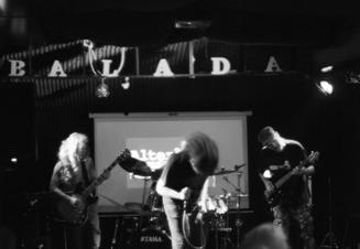 003_BRAUNCHOLDA