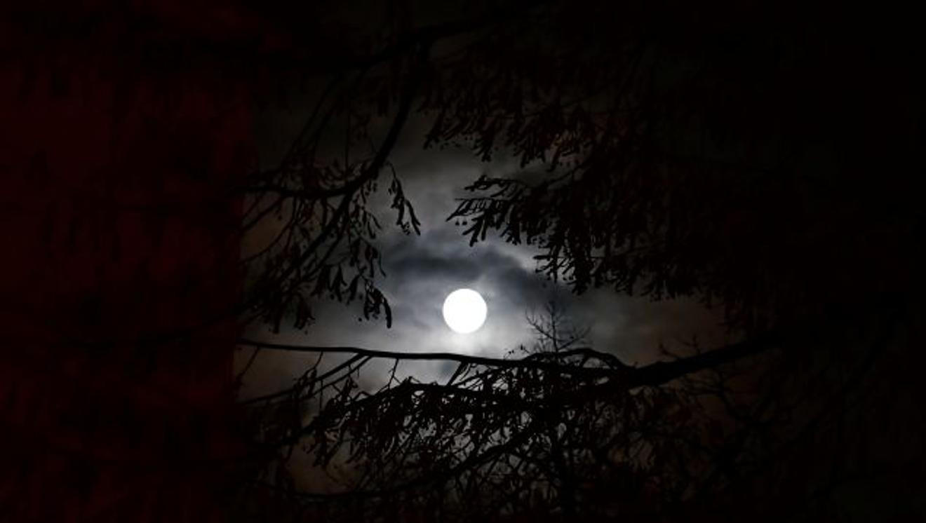 fullmoonzine.cz