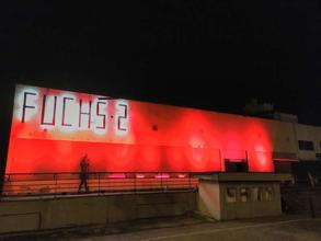 Fuchs2 (c) Fuchs2 (1)