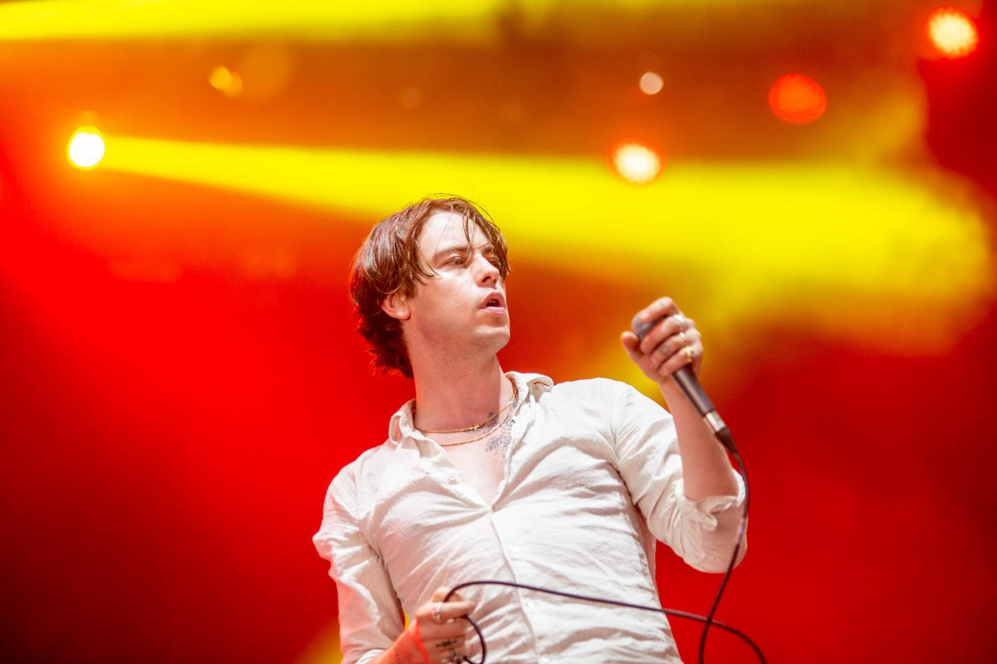 iceage (2)