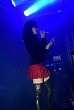 4-Stella Rose