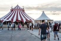10_Grape Festival