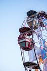 14_Grape Festival
