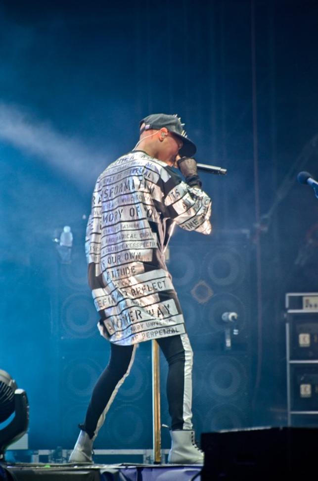 4298_skunk_anansie