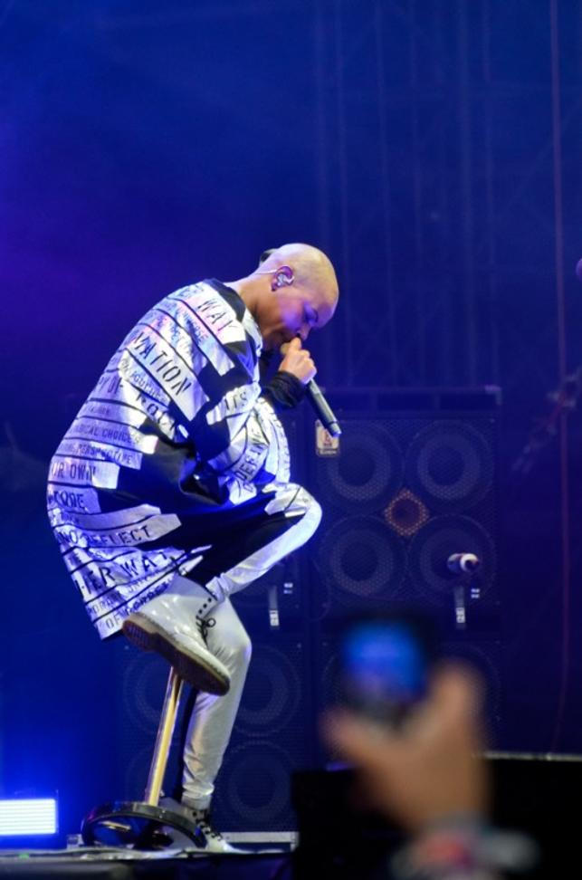 4323_skunk_anansie