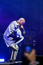 4323_skunk_anansie