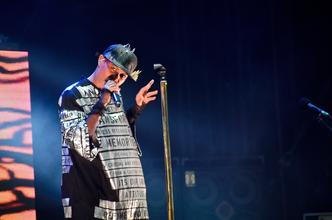 4302_skunk_anansie