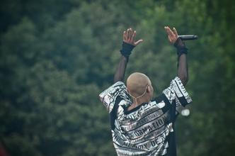 4305_skunk_anansie