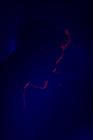 Bare_Escape_1