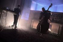 Qow & Theo Alexander 5
