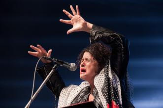 Iva Bittová
