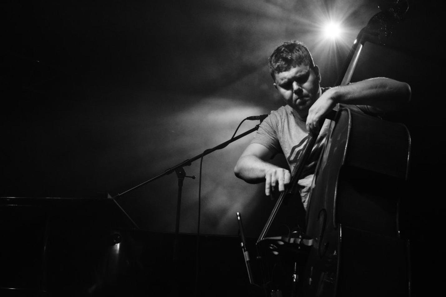 GoGo Penguin 2