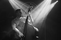 GoGo Penguin 6