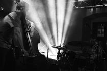 GoGo Penguin 9