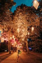 22_Fest Festival