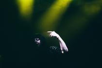34 Lydia Lunch and Big Sexy Noise
