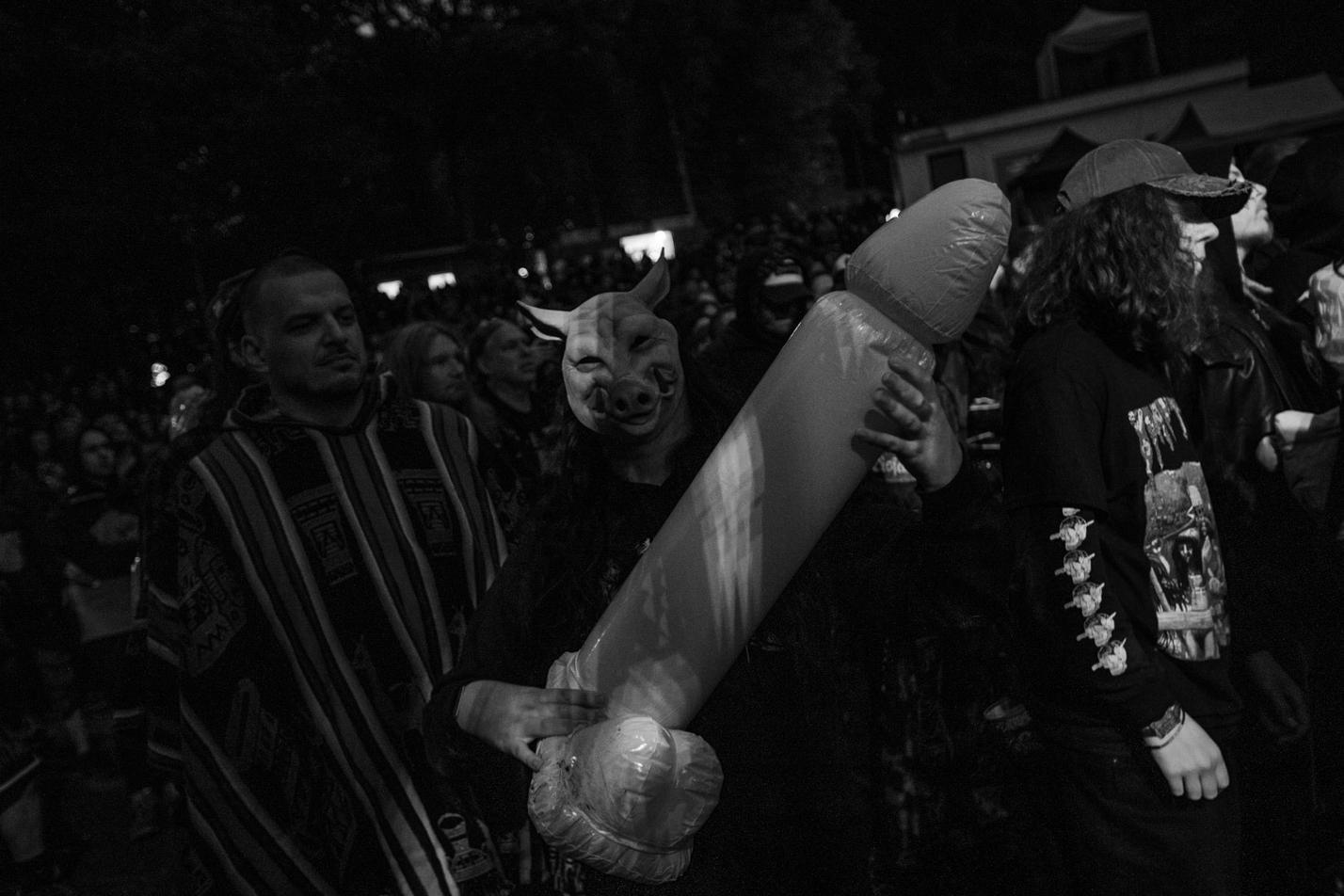 fans (1)