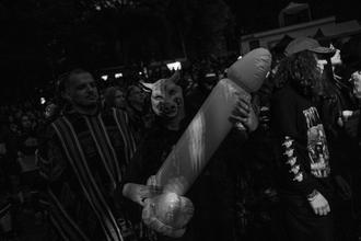 fans (1)