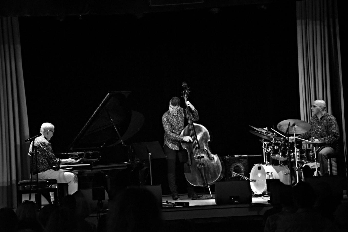 19-Emil Viklický Trio
