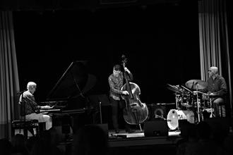 19-Emil Viklický Trio
