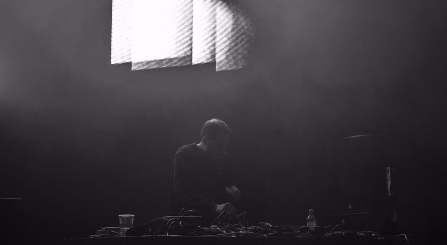 16_Gold Panda