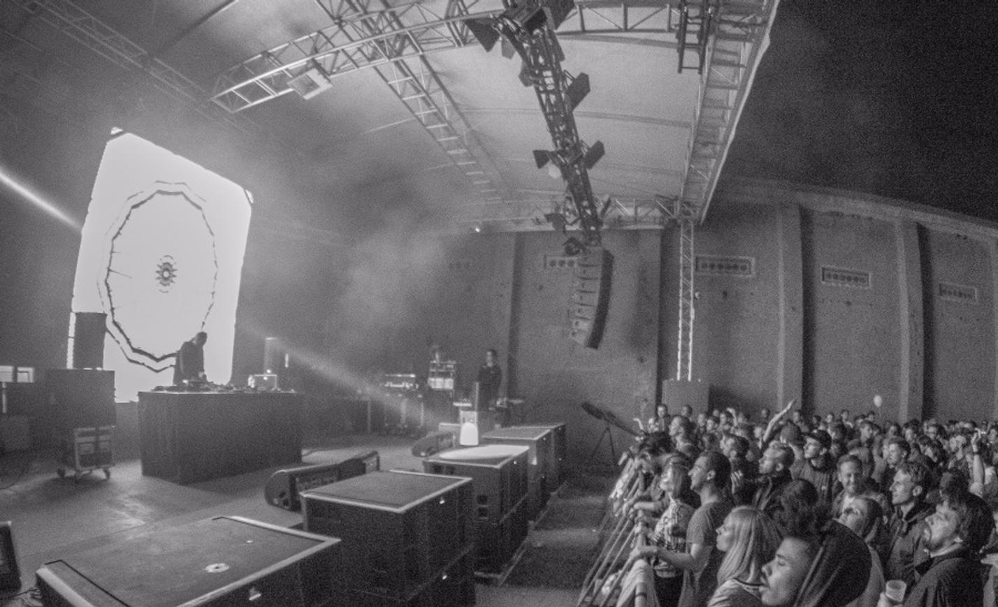 17_Gold Panda