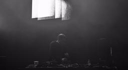 16_Gold Panda