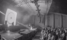 17_Gold Panda