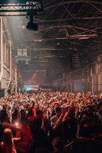 33_WHP