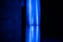 09_roxy