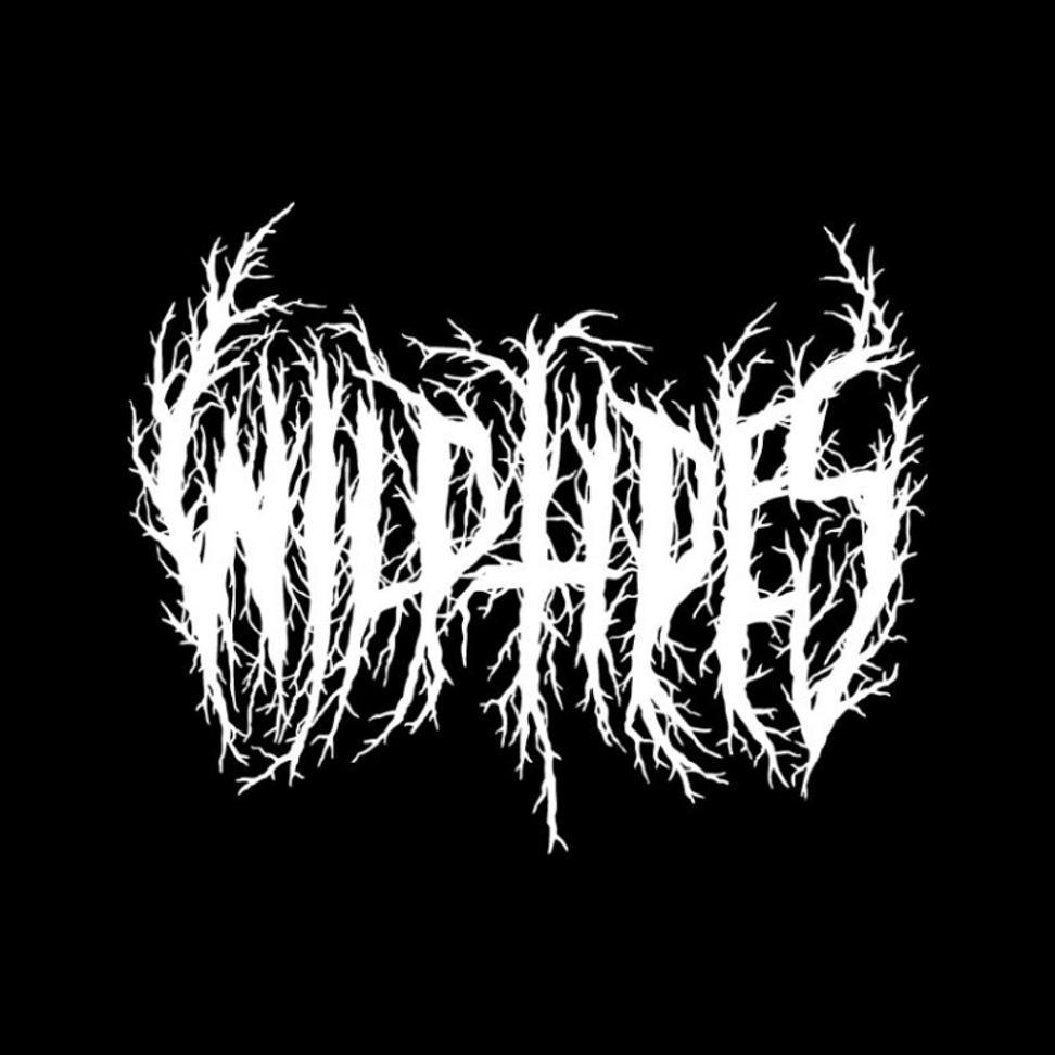 WT_1