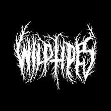 WT_1