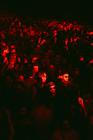 Mathame_Sziget Festival 2025