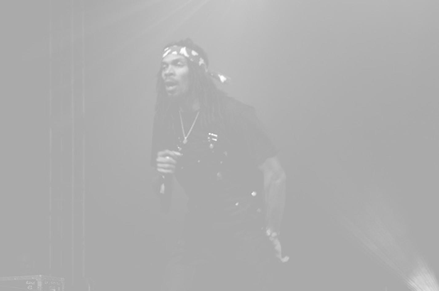 13 flatbush zombies