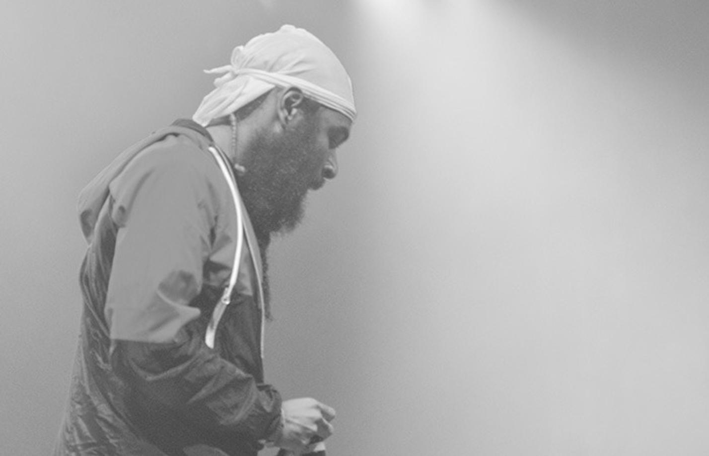 15 flatbush zombies