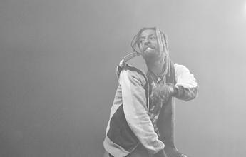 14 flatbush zombies
