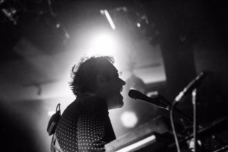 04_THEWOMBATS