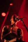 19_Caribou