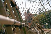 ART GARDEN 3
