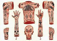 vizualy_petrlik_001